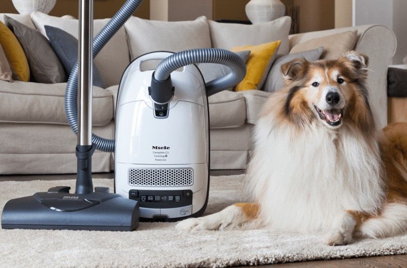 Canister Vacuum for Pet Hair