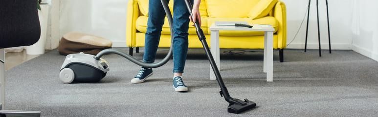 Vacuum for Wood Floors and Pet Hair