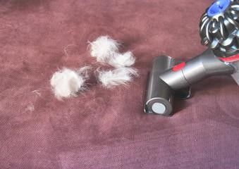 Vacuums for Hardwood Floors and Pet Hair