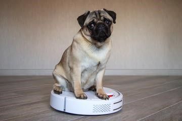 Cordless Vacuum cleaner 