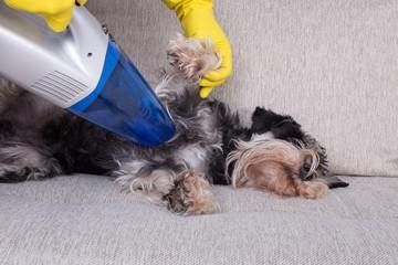 Easy to use pet vacuum