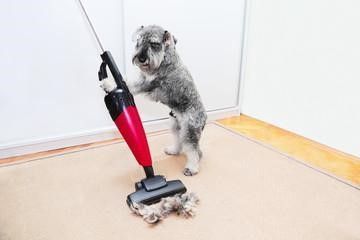 Shark Vacuum Maintenance
