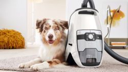 Miele CX1 Cordless Canister Vacuum Cleaner 