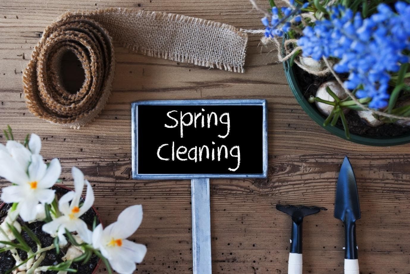 Spring clean up