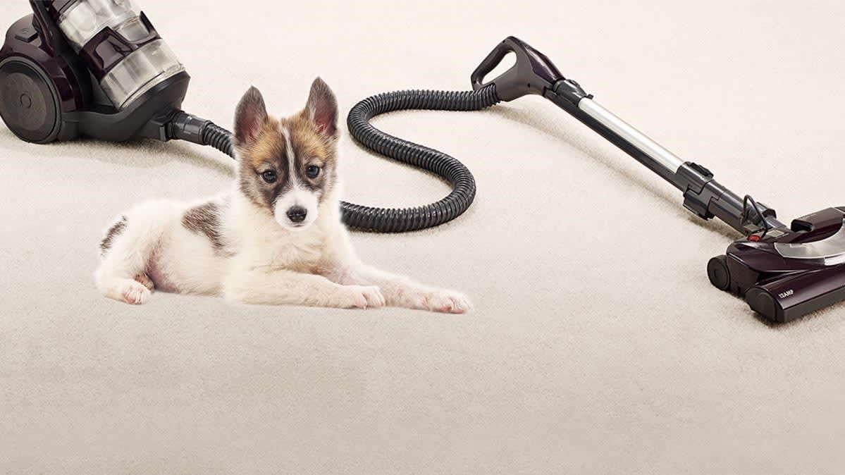 Best Bagless Vacuum Cleaner for Pet Hair