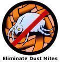 Eliminate Dust Mites when you Vacuum Eliminate Dust Mites when you Vacuum