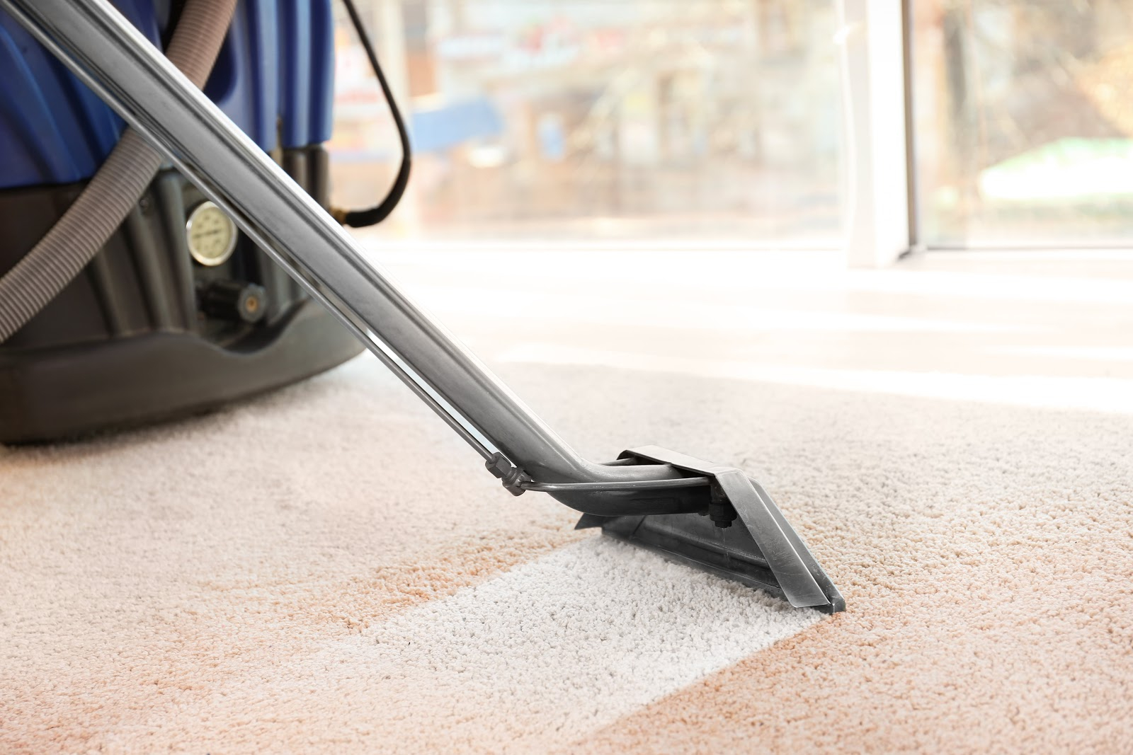 best miele canister vacuum for high pile carpet