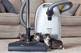 Dyson animal canister vacuum