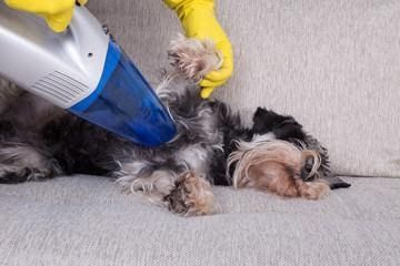 Handheld vacuum troubleshooting 