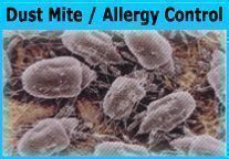 Dust Mite / Allergy Control