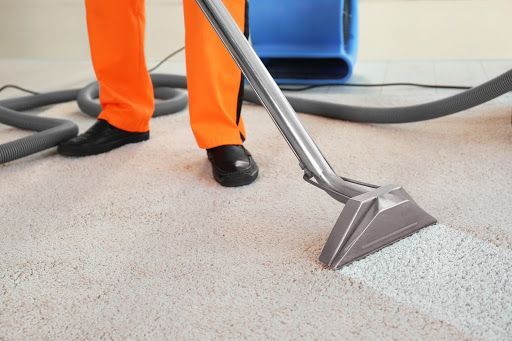 Buy the Miele Triflex Hx1 for deep cleaning