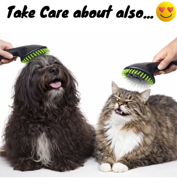 Pet Grooming Brushes